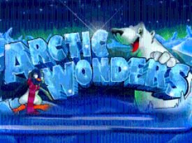 Arctic Wonders