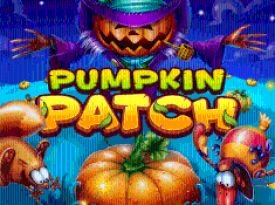 Pumpkin Patch