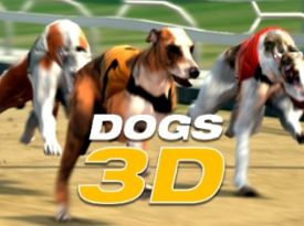 Dogs 3D