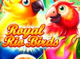 Royal Rio Birds (3x3)