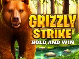 Grizzly Strike