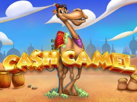 Cash Camel