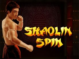 Shaolin Spin