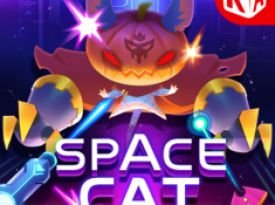 Space Cat