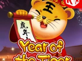 Year Of The Tiger