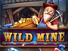 Wild Mine