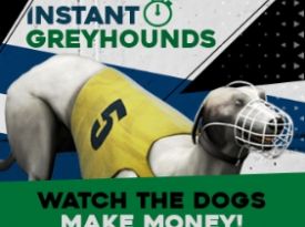 Instant Greyhounds