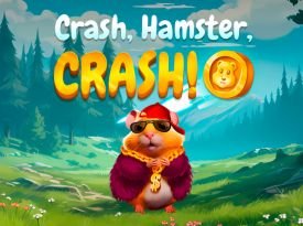 CRASH, HAMSTER, CRASH!