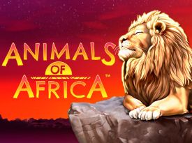 Animals of Africa™