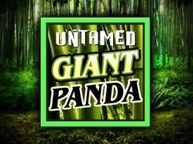 Untamed - Giant Panda