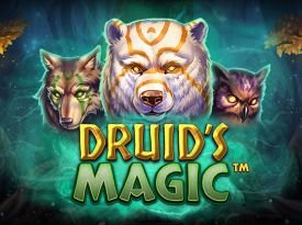 Druid’s Magic