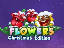 Flowers Christmas Edition