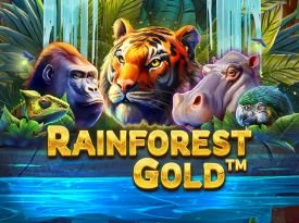 Rainforest Gold