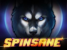 Spinsane