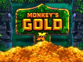 Monkeys Gold x Pays