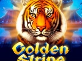 Golden Stripe