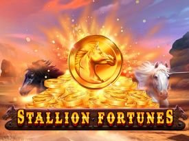 Stallion Fortunes