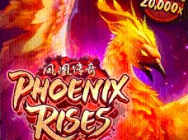 Phoenix Rises