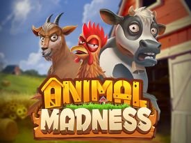 Animal Madness