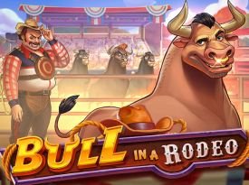 Bull in a Rodeo