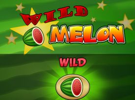 Wild Melon