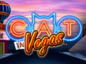 Cat in Vegas