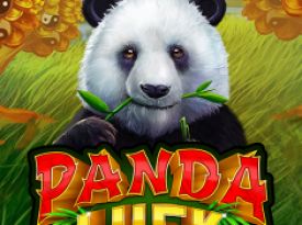 Panda Luck 