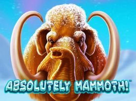 Absolutely Mammoth