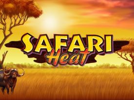 Safari Heat