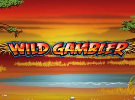 Wild Gambler