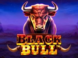 Black Bull