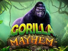 Gorilla Mayhem