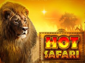 Hot Safari™