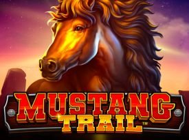 Mustang Trail