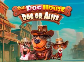 The Dog House – Dog or Alive