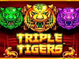 Triple Tigers™