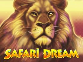 Safari Dream