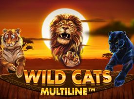 Wild Cats Multiline