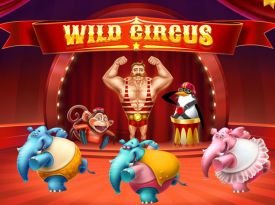 Wild Circus