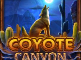 Coyote Canyon