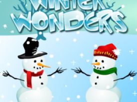 Winter Wonders