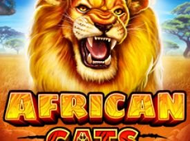 African Cats