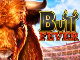 Bull Fever