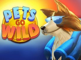 Pets go Wild