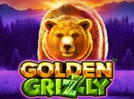 Golden Grizzly