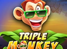 Triple Monkey