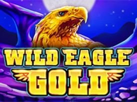 Wild Eagle Gold