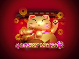 Lucky Meow