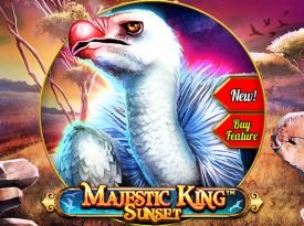 Majestic King - Sunset