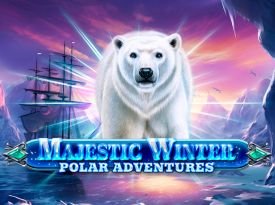 Majestic Winter - Polar Adventures